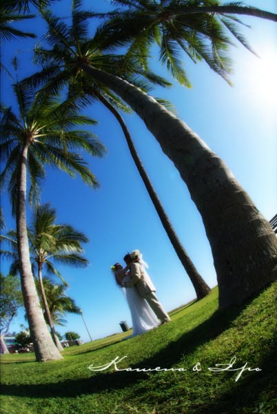 hula-image_photo