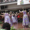 06hoolauna_photo