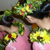 12hulaholauna