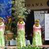 12hulaholauna